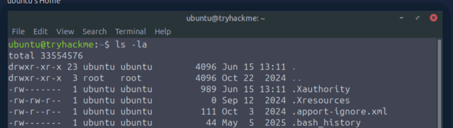 ls -la output showing files in the working directory